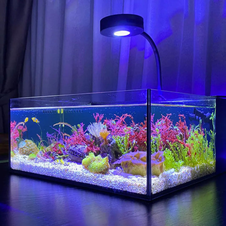 Reef Casa Pico 22L Akvarium