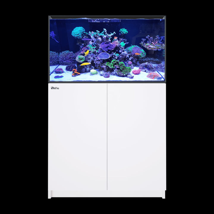 Red Sea REEFER G2+ 250